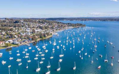 Local Insights Edition 14: Warners Bay/Lake Macquarie